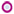 orkut